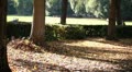 video clip 8923831