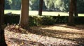 video clip 8923877