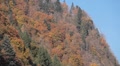 video clip 8926371