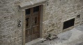 video clip 8958797
