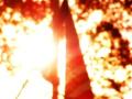 video clip 8967625