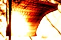 video clip 8968315