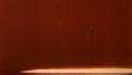 video clip 10559555