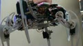 Arachnoid robot Video