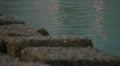 video clip 10593259