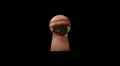 video clip 10596717
