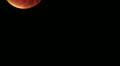 video clip 10609569