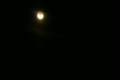 video clip 10642243