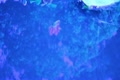 video clip 10683027
