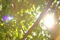 video clip 10683053