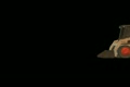 video clip 10700913