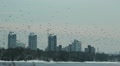 video clip 10701275