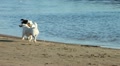 video clip 10703613