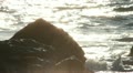video clip 10709295