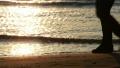 video clip 10709755