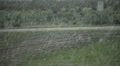video clip 10735523