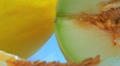 video clip 10736293