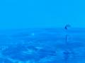 video clip 10746043