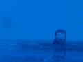 video clip 10746371