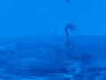 video clip 10746397