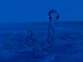 video clip 10746445