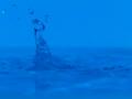 video clip 10746601
