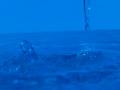 video clip 10746737