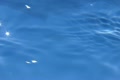 video clip 10747079