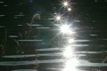 video clip 10747263