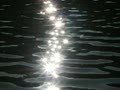 video clip 10747437
