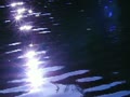 video clip 10747457