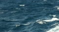Wild sea water 20110423 183537 Video