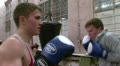 Boxers in training Video