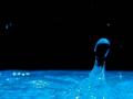 video clip 10762767
