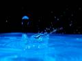 video clip 10762777