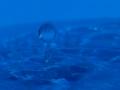 video clip 10763119