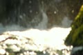 video clip 10765949
