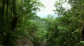 Mountain forest in Madeira 20120225 131809 Video