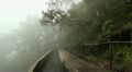 Clouds and fog in forest mountains 20120225 142245 Video