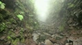 Clouds and fog in forest mountains 20120225 143241 Video