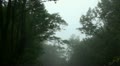 Clouds and fog in forest mountains 20120225 143756 Video