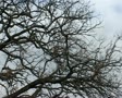 video clip 10793259