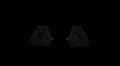 black wings slow png