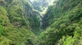 Rainforest Madeira 20110426 133015 Video