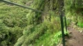 Hiking in Madeira mountains 20110426 133657 Video
