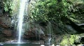 Waterfall in jungle 20110426 143048 Video