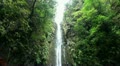 Waterfall in Rainforest 20110426 143850 Video