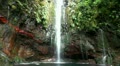 Waterfall in Rainforest 20110426 143959 Video