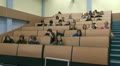 Students at a lecture in the classroom. Video
