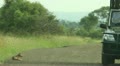 video clip 10823255